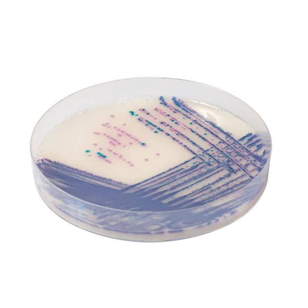 CHROMagar™ Salmonella Plus