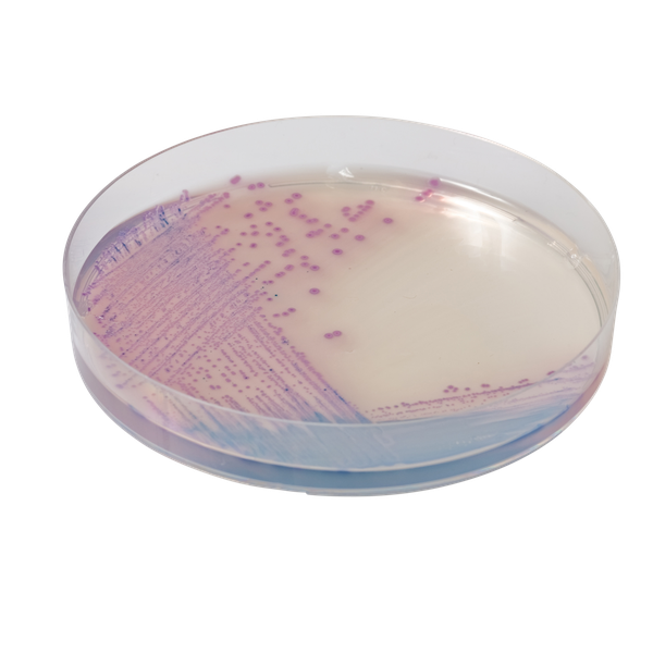 CHROMagar™ Salmonella