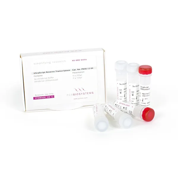 UltraScript® Reverse Transcriptase & cDNA Synthesis Kits