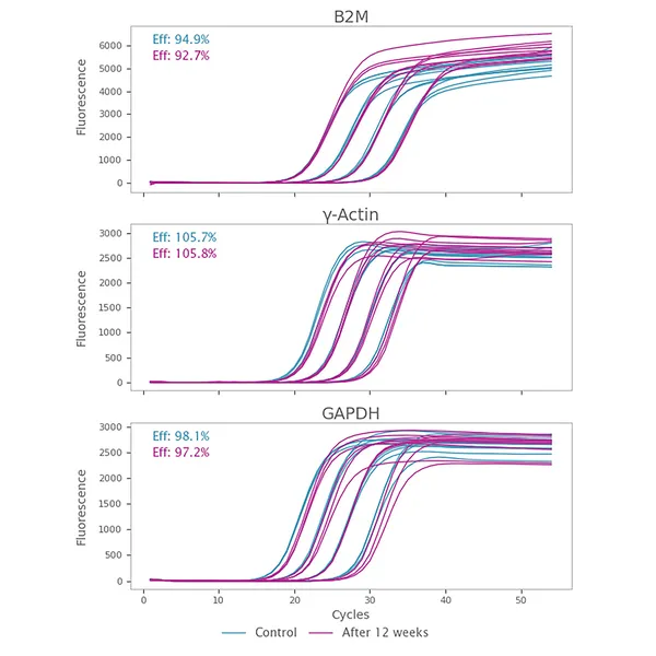 Air-Dryable Inhibitor-Tolerant qPCR Probe Mixes