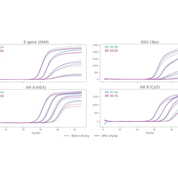 Air-Dryable Inhibitor-Tolerant qPCR Probe Mixes