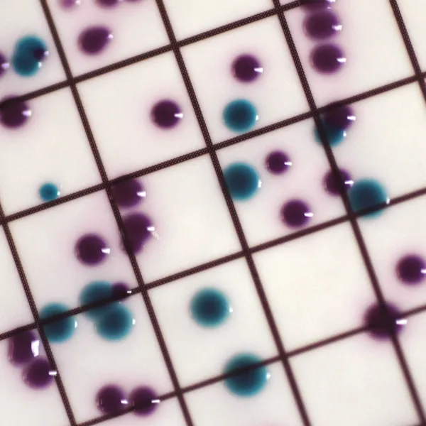 CHROMagar™ Liquid ECC