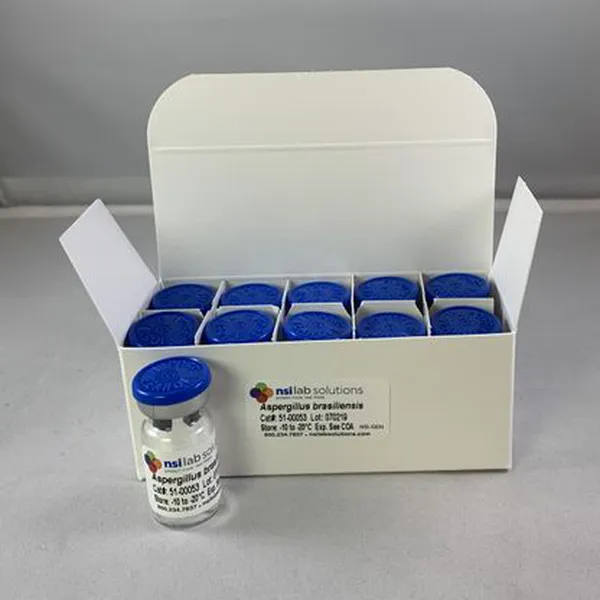 A. brasiliensis NCPF 2275