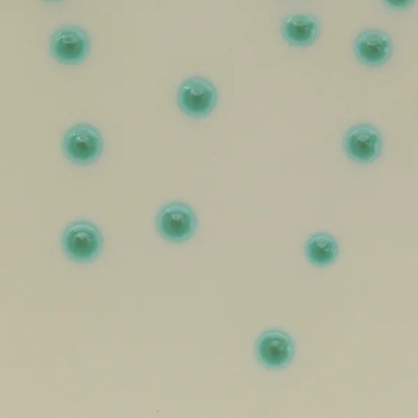 CHROMagar™ B.cepacia