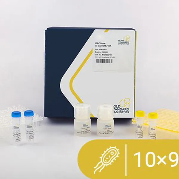 BACGene E.coli O157:H7 10x HTP