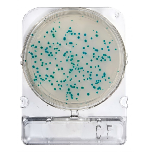 Compact Dry® CF (Coliforms)