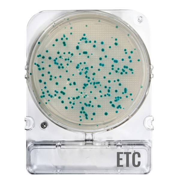 Compact Dry® ETC (Enterococos)