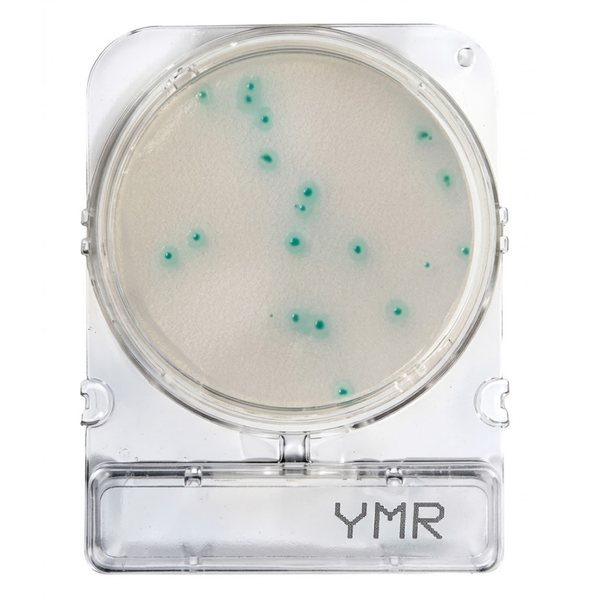 Compact Dry® YMR rapid (moulds and yeasts)