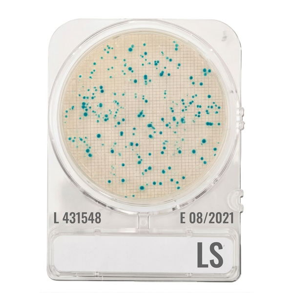 CompactDry™ LS for Listeria species