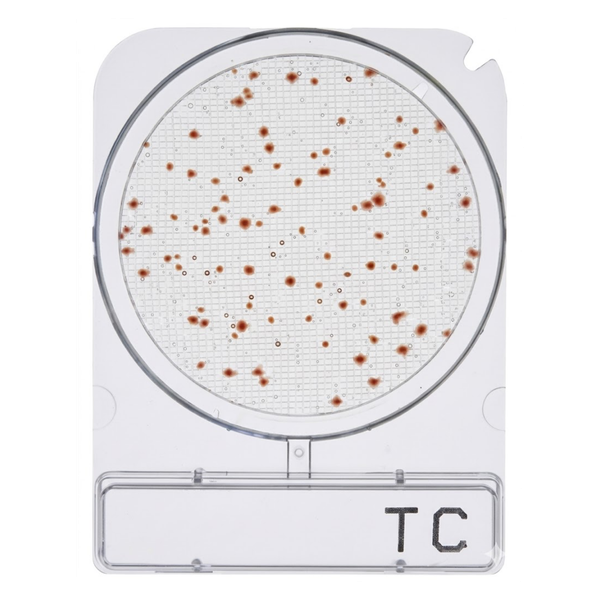 CompactDry™ TC (Total Count)