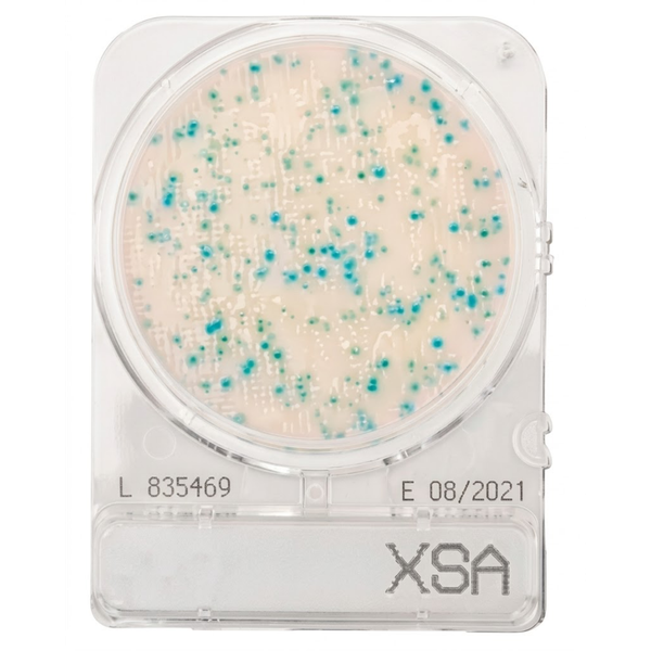 CompactDry™ X-SA for Staphylococcus aureus