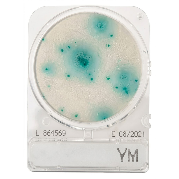 CompactDry™ YM for yeast and mould