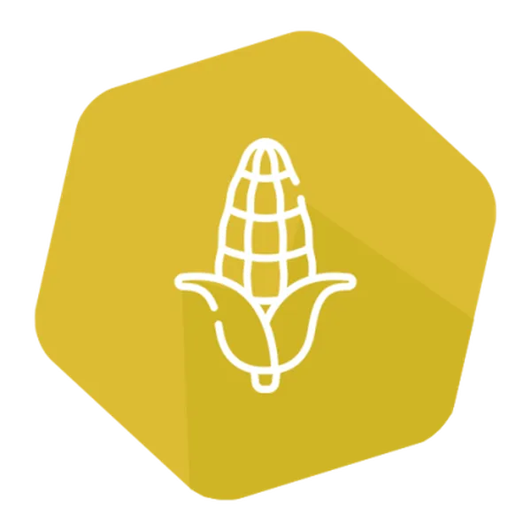 CP4 EPSPS (RR) Quantitative LFS Kit Corn