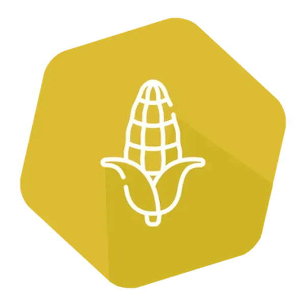 CP4 EPSPS (RR) Quantitative LFS Kit Corn