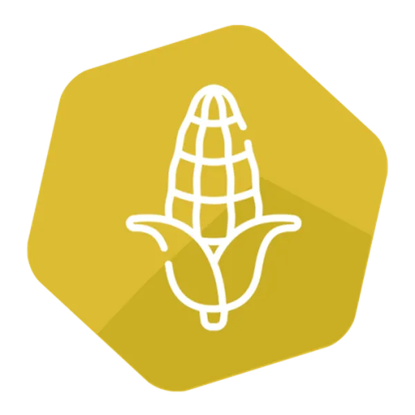 GMOIdent RT IPC (NR) MON87460/MON89034/MON88017 Corn