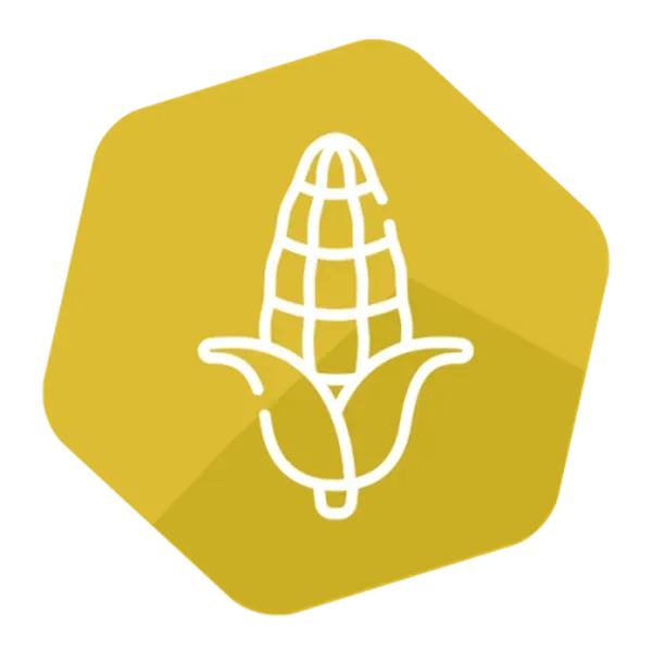 Modified Cry3A LFS kit for Corn