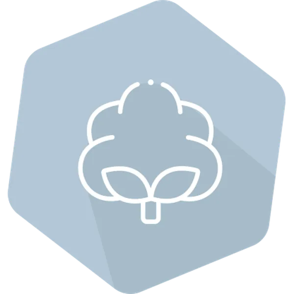 Cry1Ac/Cry2A/CP4EPSPS(RR) for Cotton