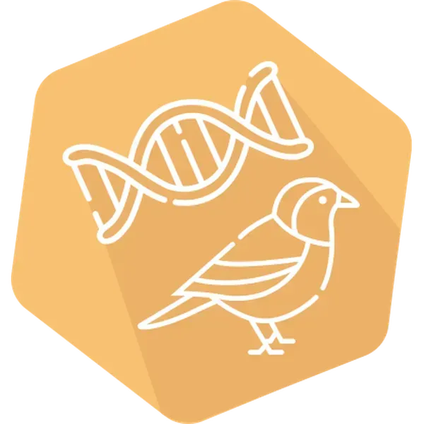 DNAnimal Screen Bird IPC