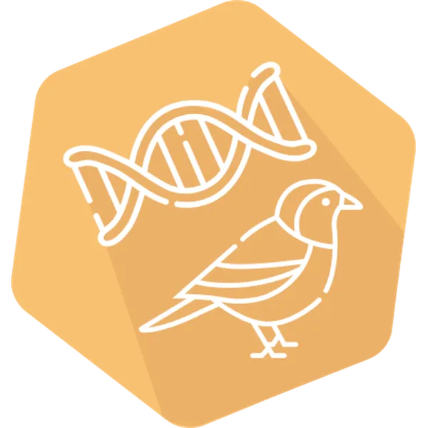 DNAnimal Screen Bird IPC