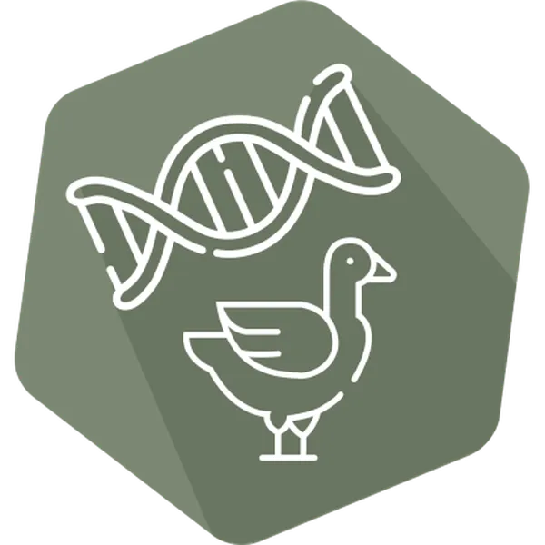 DNAnimal Ident Duck IPC