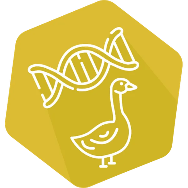 DNAnimal Ident Goose IPC