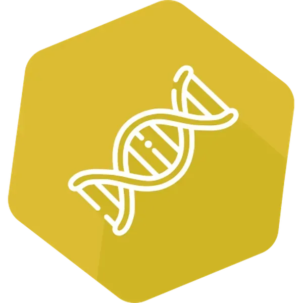 PREraser BACGene 2x48