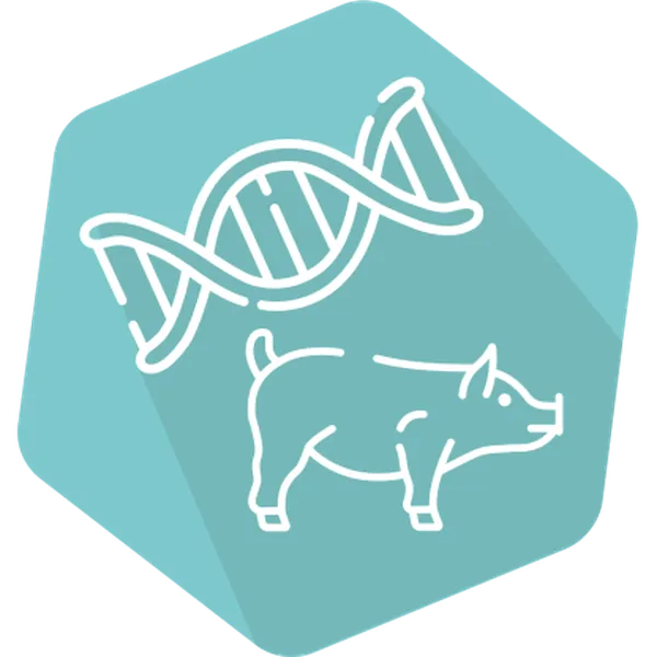 DNAnimal Ident Pig HS IPC (LR)