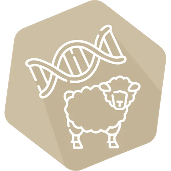 DNAnimal Ident Sheep IPC