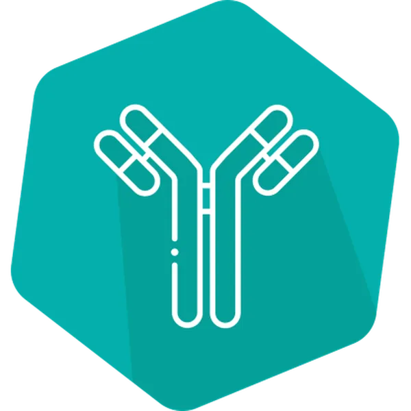 Conjugate Stabilizer/Diluent (HRP)