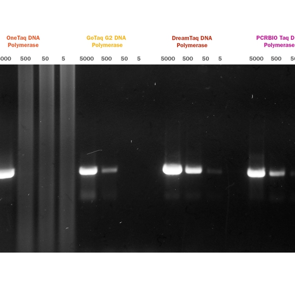 PCRBIO Taq Mix & Mix Red