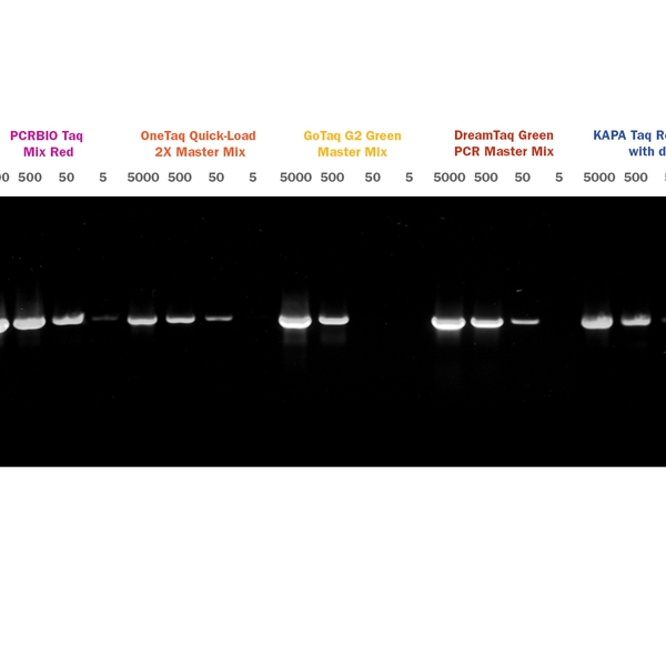 PCRBIO Taq Mix & Mix Red