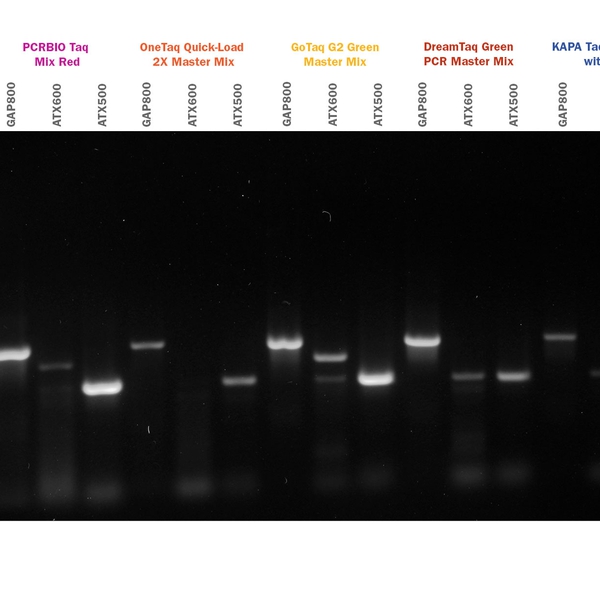 PCRBIO Taq Mix & Mix Red