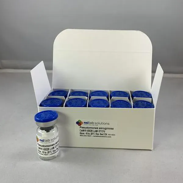 Pseudomonas paraeruginosa