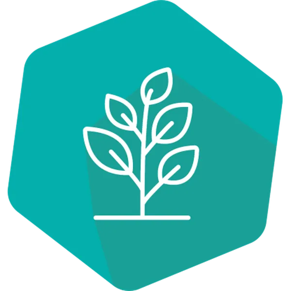 SpeciesIdent RT IPC (LR) Linseed