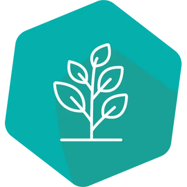 SpeciesIdent RT IPC (LR) Linseed