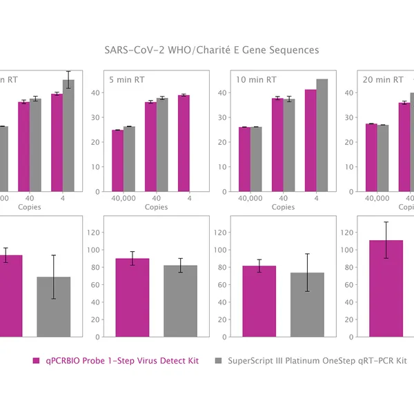 qPCRBIO Probe 1-Step Virus Detect
