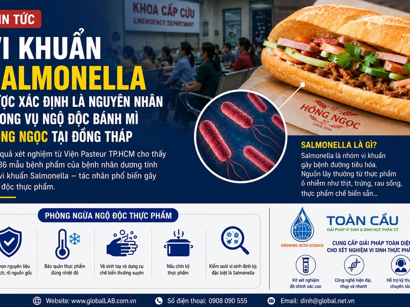 Vi khuẩn Salmonella được phát hiện trong vụ ngộ độc bánh mì Hồng Ngọc