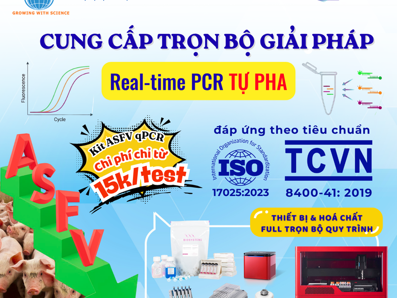 GIẢI PHÁP TỰ PHA REAL-TIME PCR KIỂM SOÁT DỊCH TẢ HEO CHÂU PHI (ASFV): TỐI ƯU QUY TRÌNH THEO TIÊU CHUẨN TCVN 8400-41:2019 & ISO 17025:2023