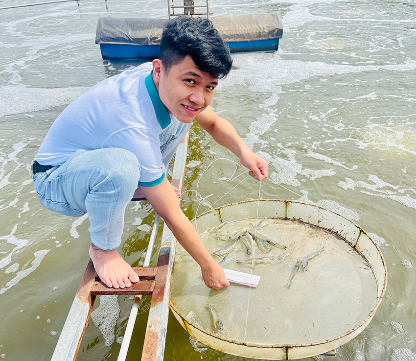 Việc lựa chọn và sử dụng đúng cách là yếu tố then chốt để khai thác tối đa tiềm năng của probiotic. Việc lựa chọn và sử dụng đúng cách là yếu tố then chốt để khai thác tối đa tiềm năng của probiotic.