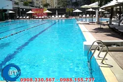 Các mẫu xây dựng hồ bơi đẹp nhất hiện nay