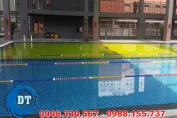 CẢI TẠO HỒ BƠI TRƯỜNG BẮC MỸ, Q7 TP.HCM