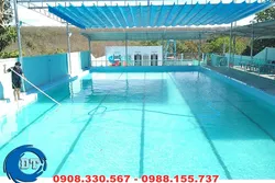 Chuyên thiết kế xây dựng hồ bơi tại nhà