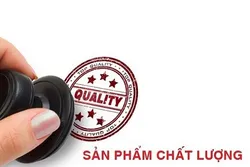 Địa chỉ cung cấp thiết bị hồ bơi thông minh giá rẻ