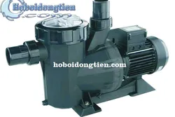 Máy Bơm Hồ Bơi