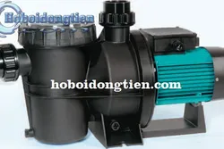 Sửa chữa máy bơm nước hồ bơi