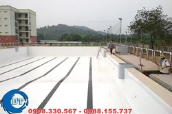 Tìm nơi xây hồ bơi chất lượng tại TP.HCM