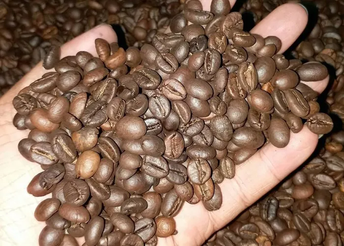 Đẳng cấp qua cốc ly cà phê