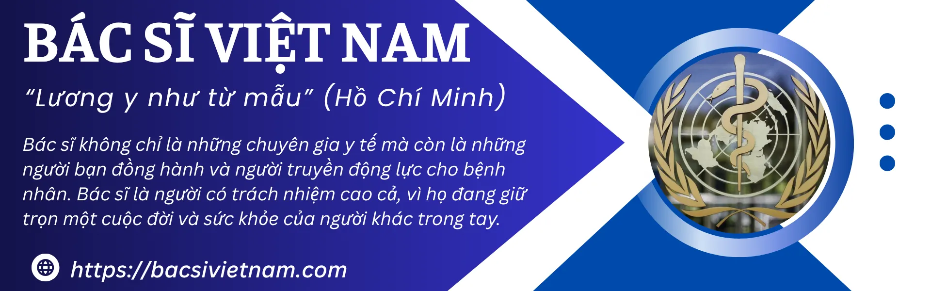 Bác Sĩ Việt Nam