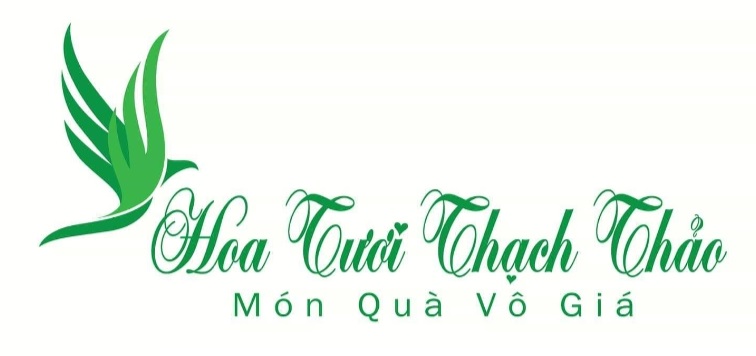 Hoa Tươi Thạch Thảo Hải Phòng