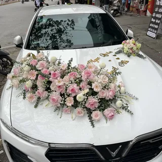 Xe Hoa Cưới Hải Phòng 15